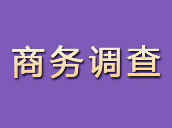 吕梁商务调查